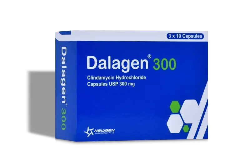 Dalagen 300