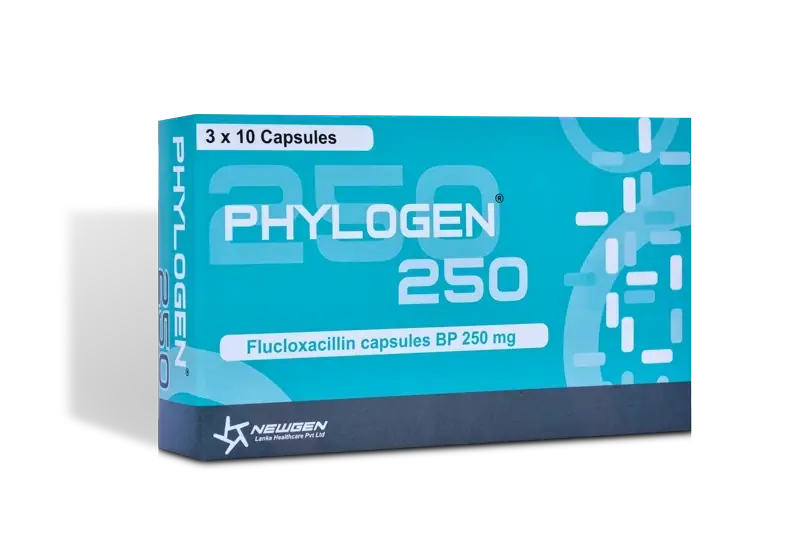 Phylogen 250